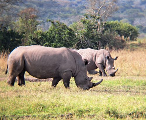 WhatsApp Image 2026-03-14 at 3.27.59 PM (1)