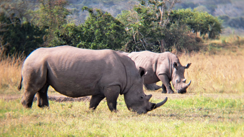 WhatsApp Image 2026-03-14 at 3.27.59 PM (1)