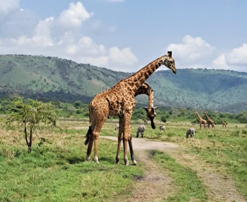 WhatsApp Image 2026-03-14 at 3.27.59 PM