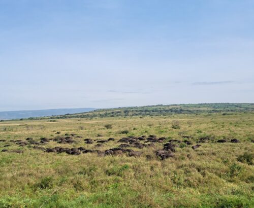 WhatsApp Image 2026-03-14 at 3.28.00 PM (1)