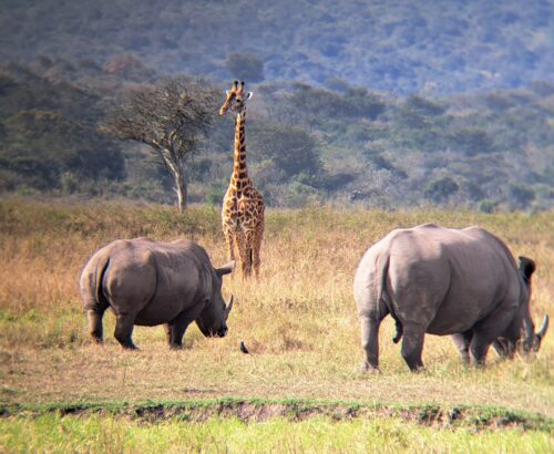 WhatsApp Image 2026-03-14 at 3.28.00 PM