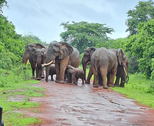 WhatsApp Image 2026-03-14 at 3.28.01 PM