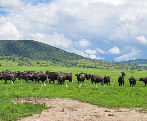 WhatsApp Image 2026-03-14 at 3.28.02 PM (1)