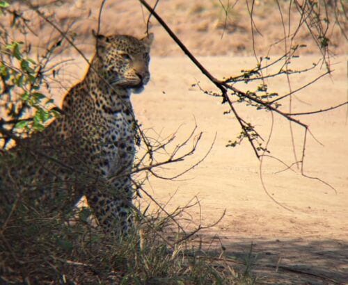 WhatsApp Image 2026-03-14 at 3.28.02 PM