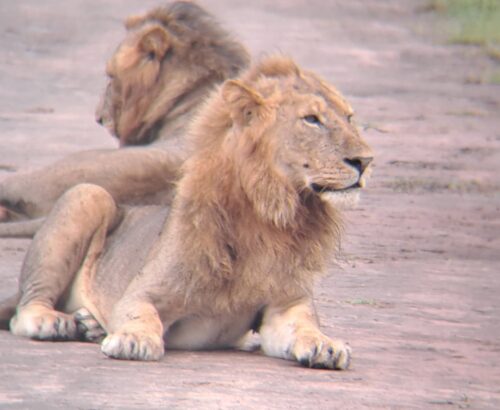 WhatsApp Image 2026-03-14 at 3.28.04 PM