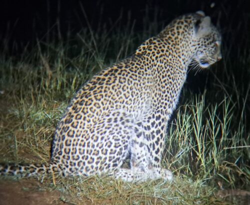 WhatsApp Image 2026-03-14 at 3.28.05 PM (1)