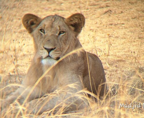 WhatsApp Image 2026-03-14 at 3.28.05 PM