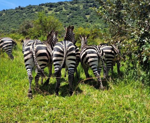 WhatsApp Image 2026-03-14 at 3.28.06 PM