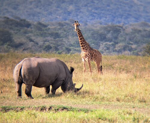 WhatsApp Image 2026-03-14 at 3.28.07 PM (1)