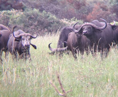 WhatsApp Image 2026-03-14 at 3.28.07 PM