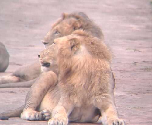 WhatsApp Image 2026-03-14 at 3.28.08 PM (1)