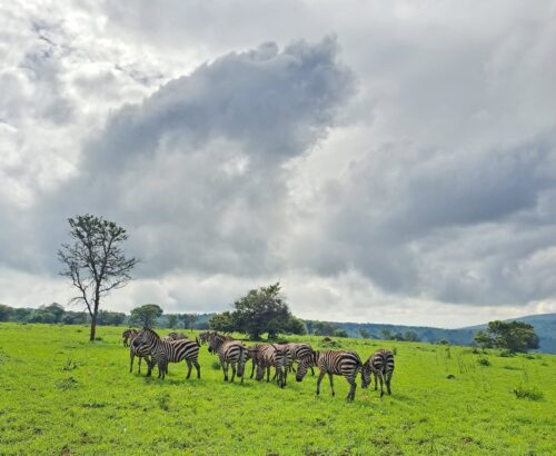 WhatsApp Image 2026-03-14 at 3.28.08 PM (2)