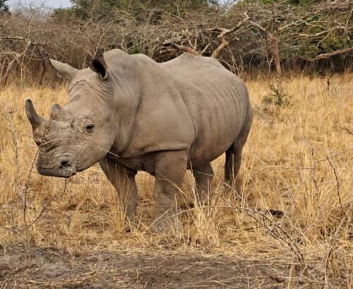 WhatsApp Image 2026-03-14 at 3.28.08 PM