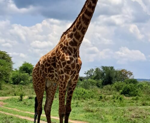 WhatsApp Image 2026-03-14 at 3.28.09 PM (1)