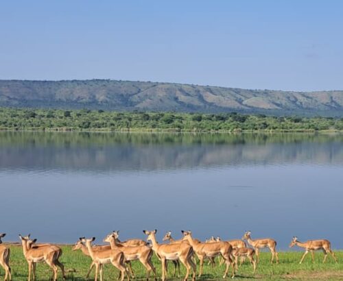 WhatsApp Image 2026-03-14 at 3.28.09 PM