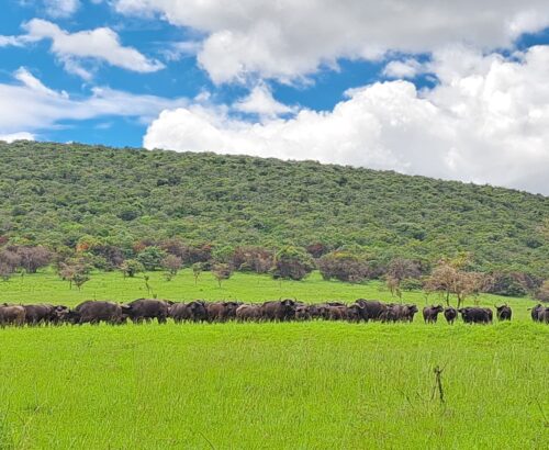 WhatsApp Image 2026-03-14 at 3.28.10 PM (1)