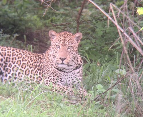 WhatsApp Image 2026-03-14 at 3.28.10 PM (2)