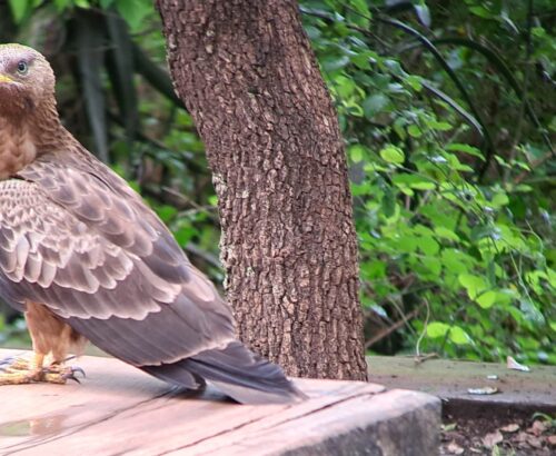 WhatsApp Image 2026-03-14 at 3.28.10 PM