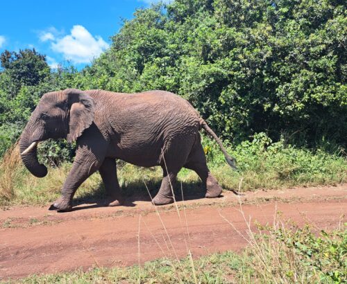 WhatsApp Image 2026-03-14 at 3.28.11 PM