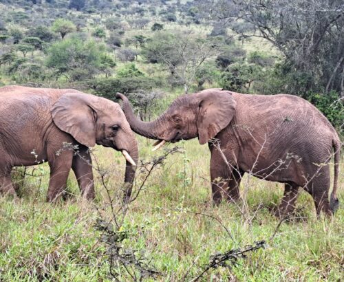 WhatsApp Image 2026-03-14 at 3.28.12 PM