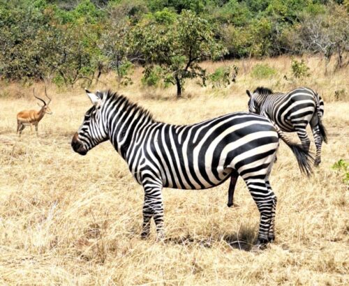 WhatsApp Image 2026-03-14 at 3.28.13 PM