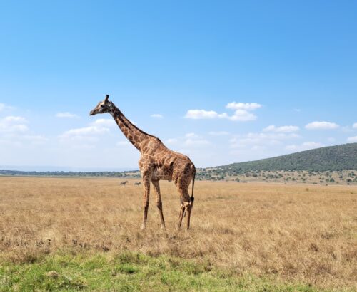 WhatsApp Image 2026-03-14 at 3.28.14 PM