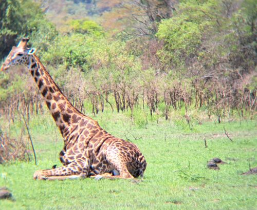 WhatsApp Image 2026-03-14 at 3.28.15 PM (1)