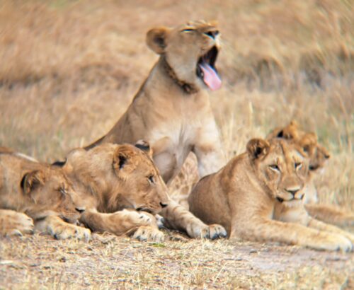 WhatsApp Image 2026-03-14 at 3.28.15 PM