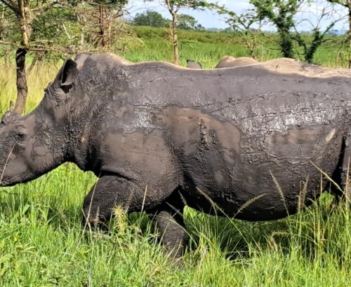 WhatsApp Image 2026-03-14 at 3.28.16 PM