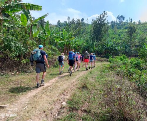 WhatsApp Image 2026-03-14 at 3.28.47 PM