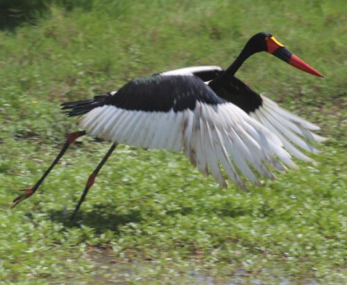 WhatsApp Image 2026-03-14 at 3.28.49 PM (1)