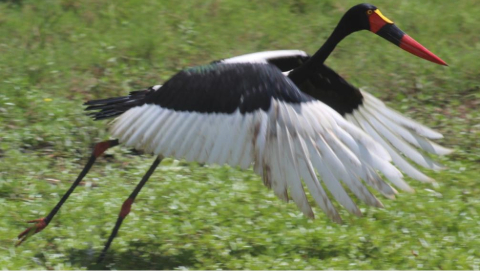 WhatsApp Image 2026-03-14 at 3.28.49 PM (1)