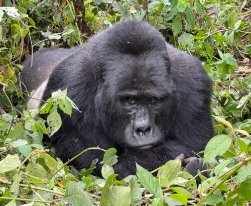 WhatsApp Image 2026-03-14 at 3.28.50 PM