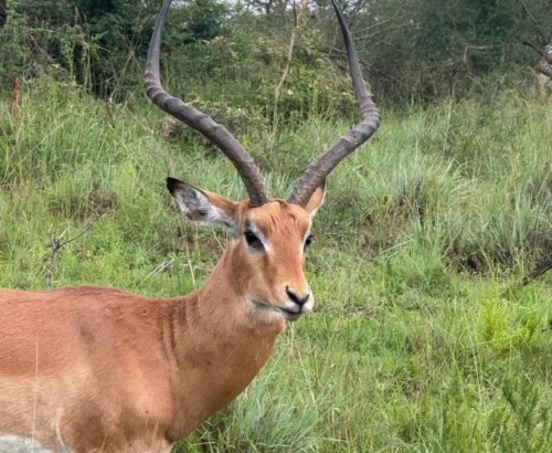 WhatsApp Image 2026-03-14 at 3.28.51 PM (1)