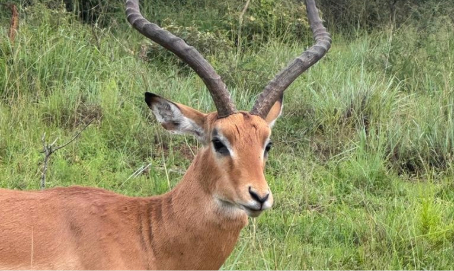 WhatsApp Image 2026-03-14 at 3.28.51 PM (1)