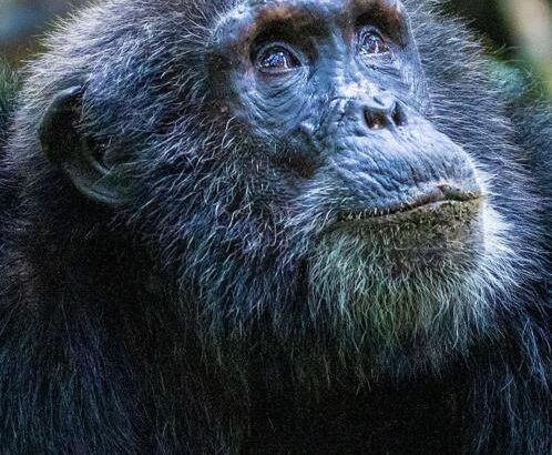 WhatsApp Image 2026-03-14 at 3.28.51 PM