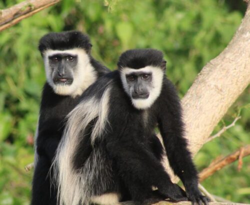 WhatsApp Image 2026-03-14 at 3.28.52 PM