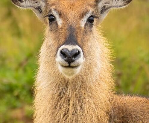 WhatsApp Image 2026-03-14 at 3.28.53 PM (1)