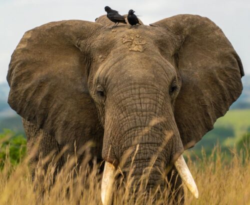 WhatsApp Image 2026-03-14 at 3.28.53 PM