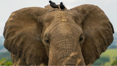 WhatsApp Image 2026-03-14 at 3.28.53 PM