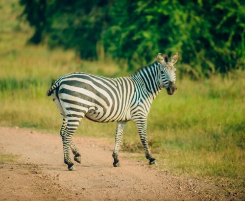 WhatsApp Image 2026-03-14 at 3.28.54 PM