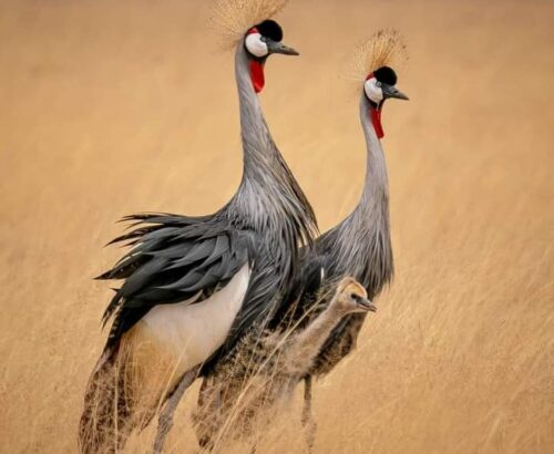 WhatsApp Image 2026-03-14 at 3.29.59 PM