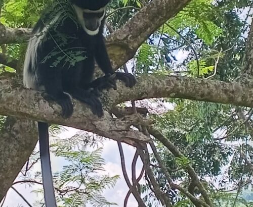 WhatsApp Image 2026-03-14 at 3.30.01 PM