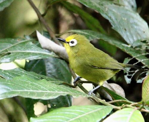 WhatsApp Image 2026-03-14 at 3.30.02 PM (1)