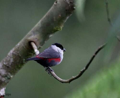 WhatsApp Image 2026-03-14 at 3.30.02 PM