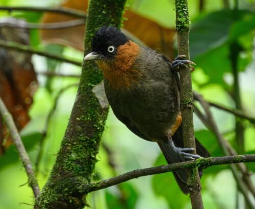 WhatsApp Image 2026-03-14 at 3.30.03 PM