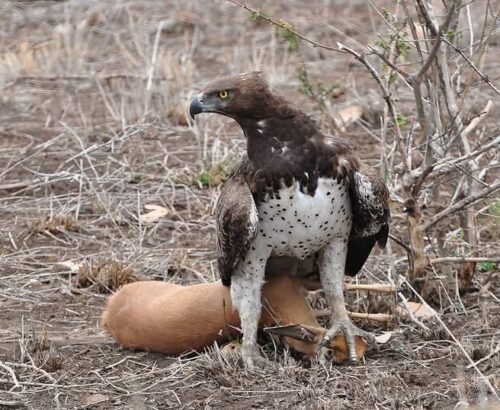 WhatsApp Image 2026-03-14 at 3.30.04 PM (1)