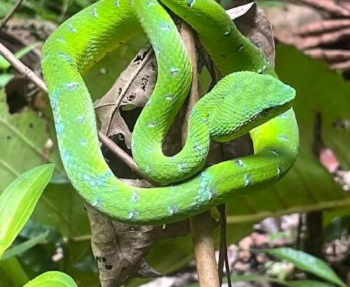 WhatsApp Image 2026-03-14 at 3.30.04 PM