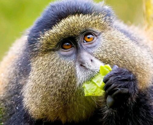 WhatsApp Image 2026-03-14 at 3.33.18 PM