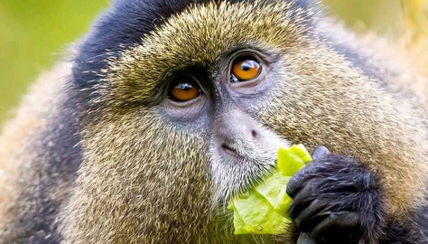 WhatsApp Image 2026-03-14 at 3.33.18 PM